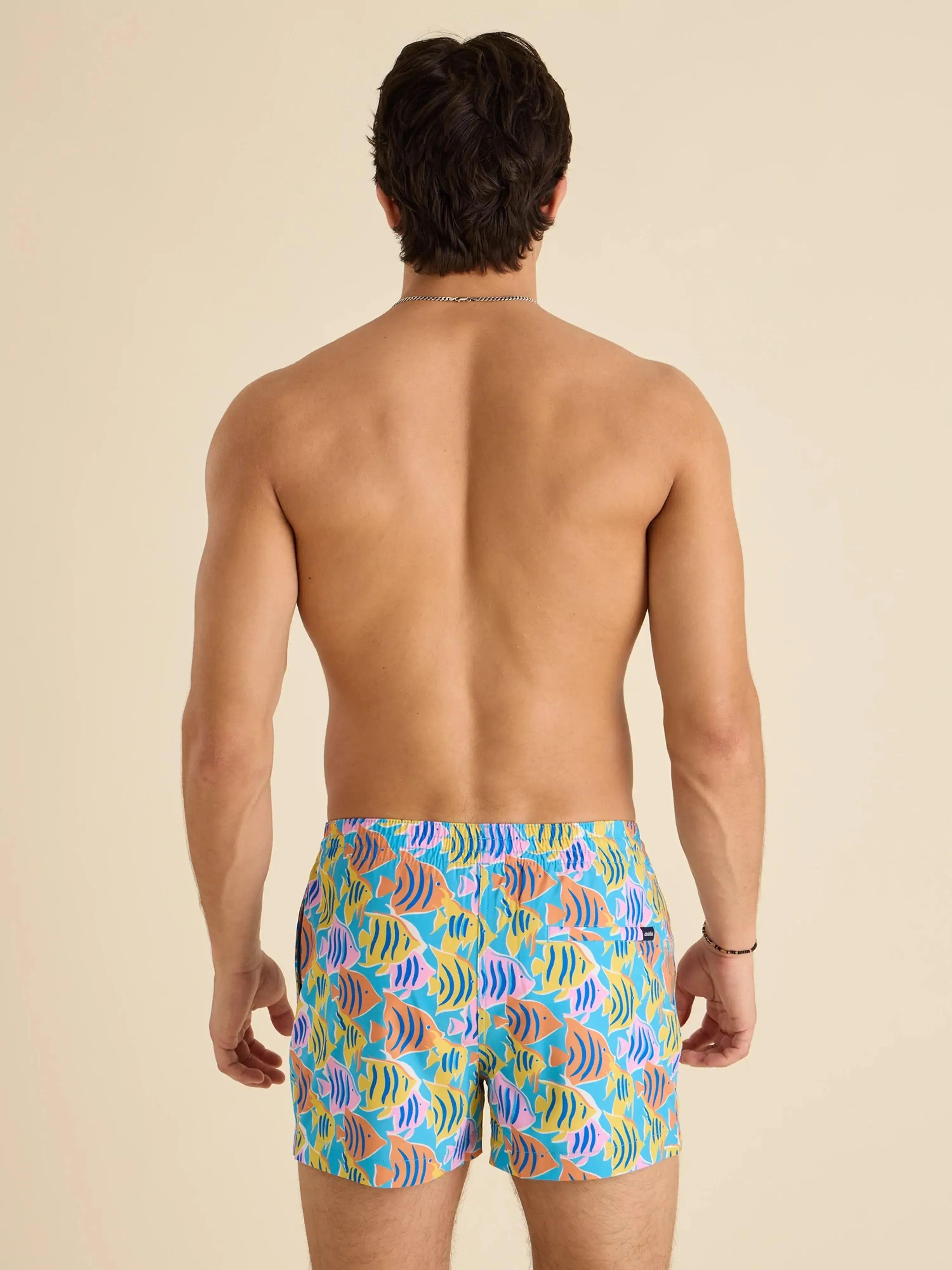 The Fish Tanks 4" (Classic Lined Swim Trunk)